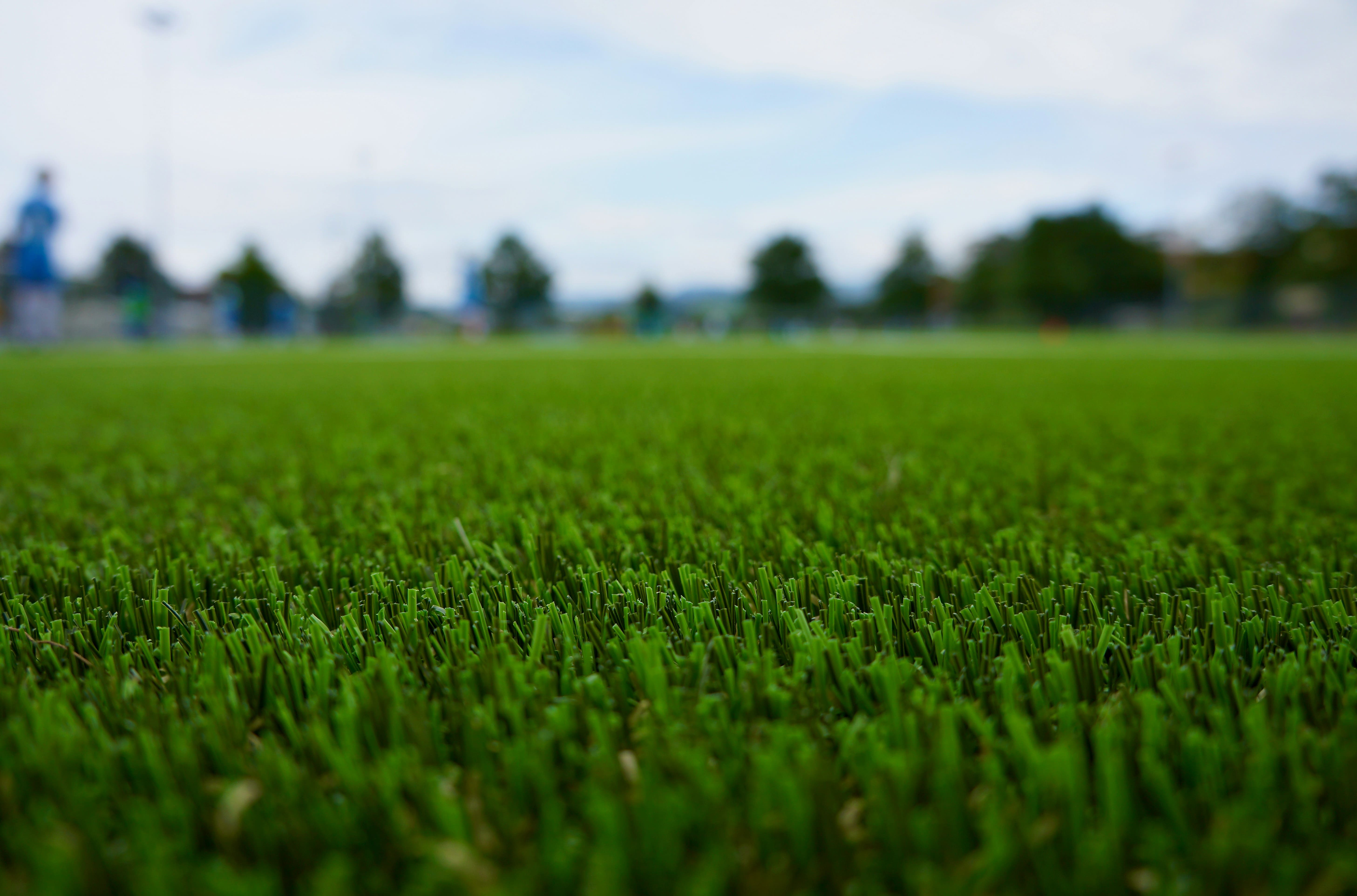 Artificial Grass